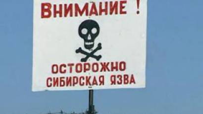 Сибирская язва