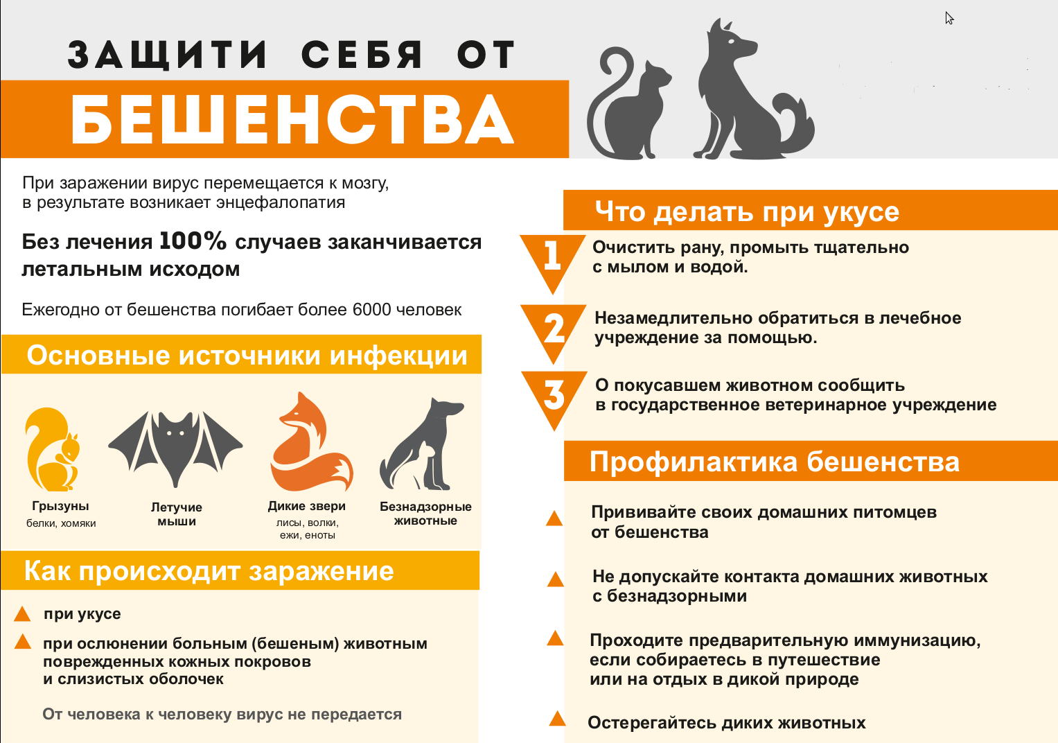 Предупреждение бешенства животных