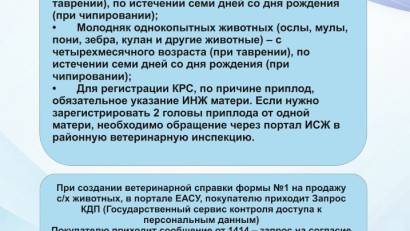 Ауыл шаруашылығы жануарларының иелеріне арналған жадынама