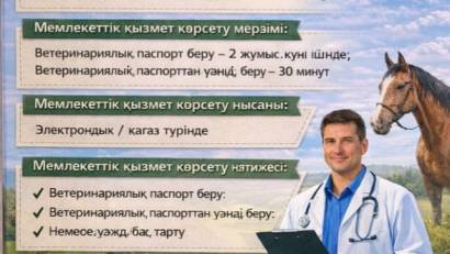 Перечень основных требований к оказанию государственной услуги 