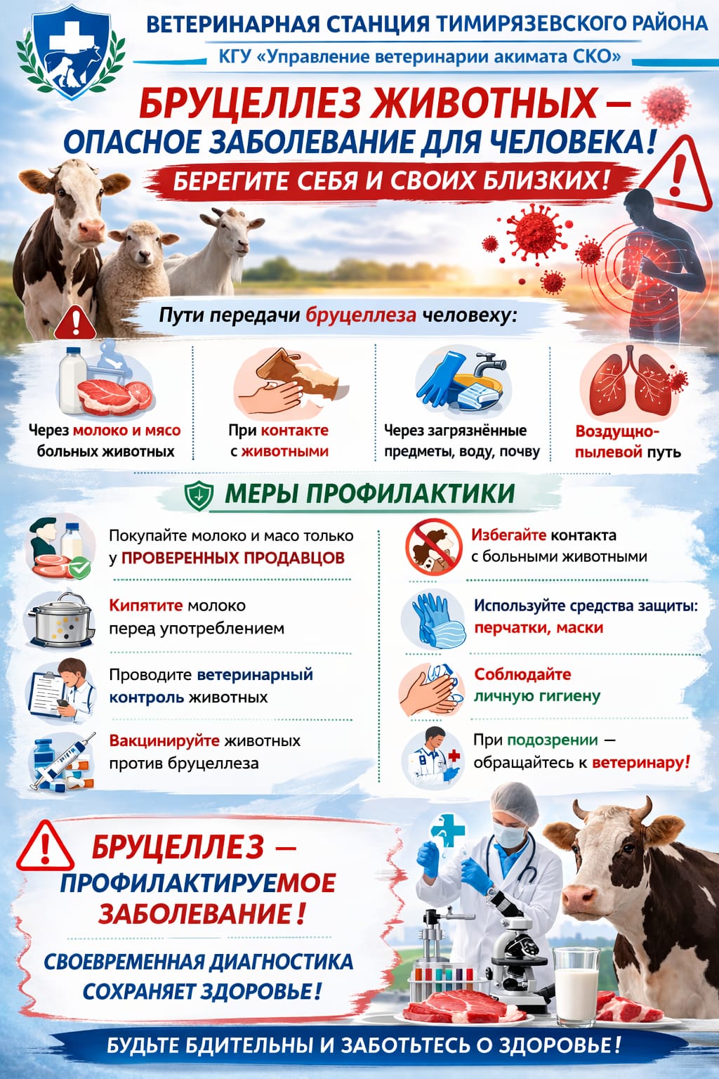 Жануарлардың бруцеллезі-адамдар үшін қауіпті ауру. Алдын алу шаралары