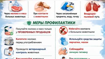 Жануарлардың бруцеллезі-адамдар үшін қауіпті ауру. Алдын алу шаралары