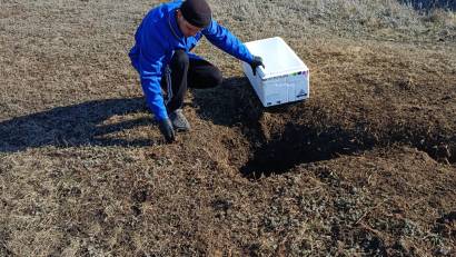 Специалисты ветеринарной станции Тимирязевского района проводят профилактические мероприятия по предотвращению распространения бешенства среди диких и безнадзорных животных