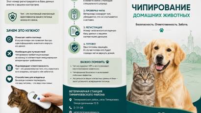 Памятка для населения по чипированию домашних животных  