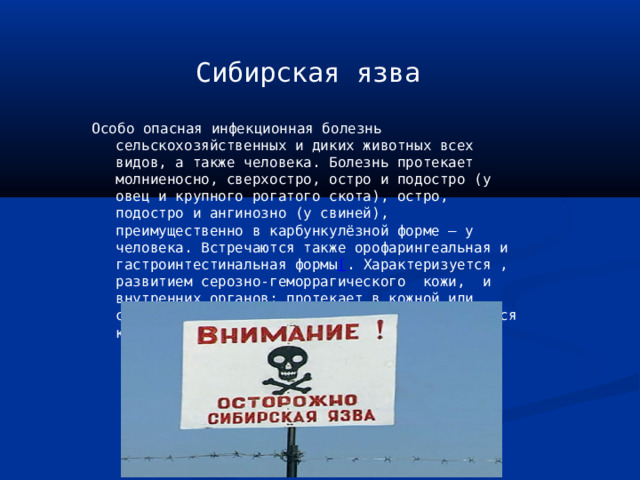 Сибирская язва сельскохозяйственных животных – профилактика