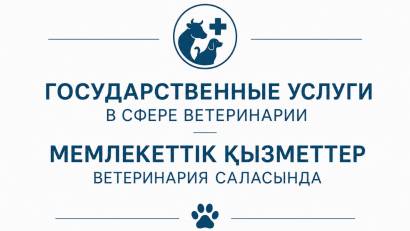 ГОСУДАРСТВЕННЫЕ УСЛУГИ В СФЕРЕ ВЕТЕРИНАРИИ