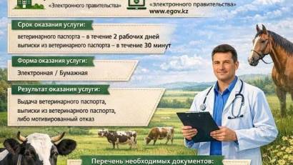 Перечень основных требований к оказанию государственной услуги 